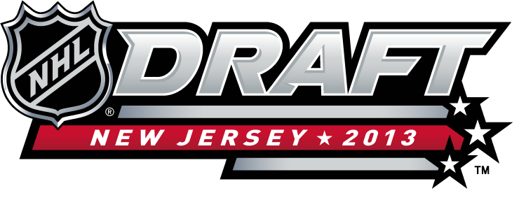 NHL Draft 2013 Alternate Logo iron on transfers for T-shirts